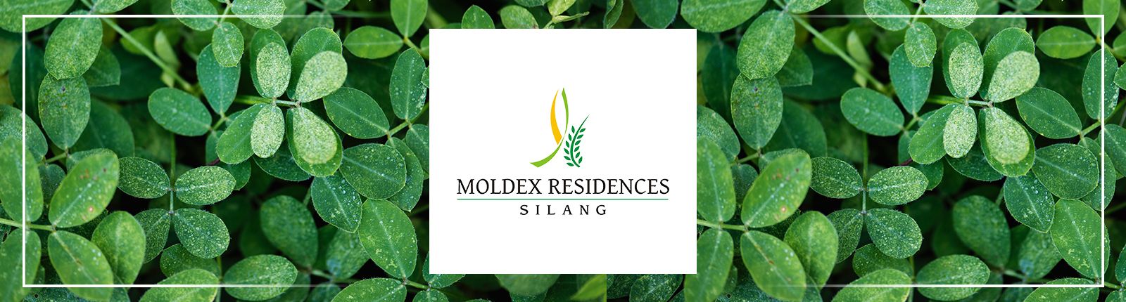Moldex Residences Silang: A big potential for investment