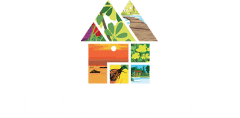 Moldex Realty