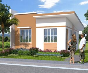 Architect's Perspective of Sandie House Model