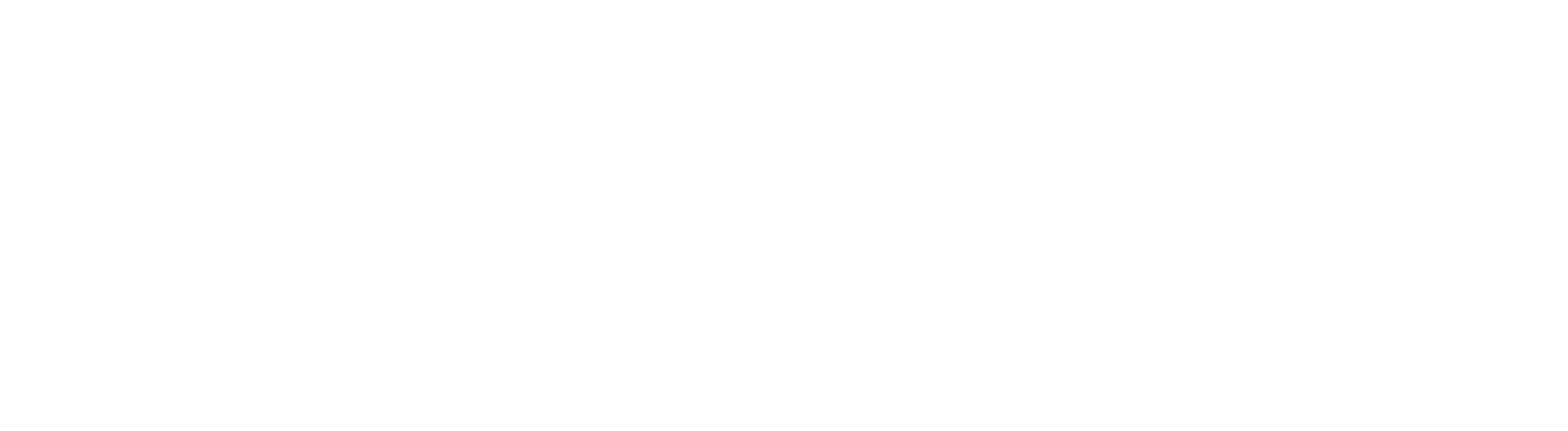 06 Logo MGNV